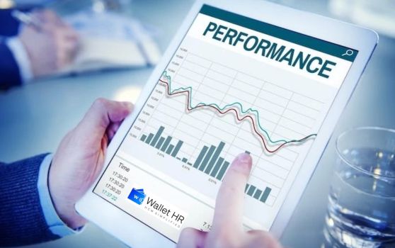 Verimlilik Yönetimi